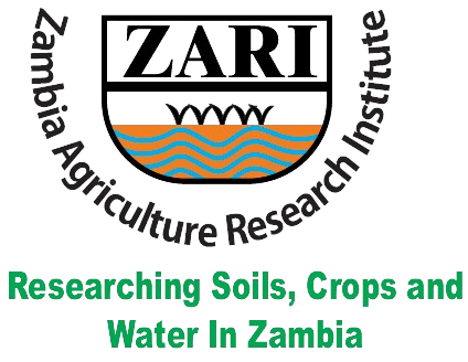 ZARI_Logo-removebg-preview